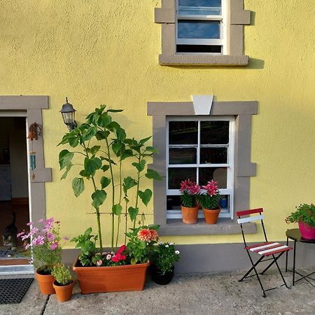 Felicity Cottage Kiltegan Extérieur photo