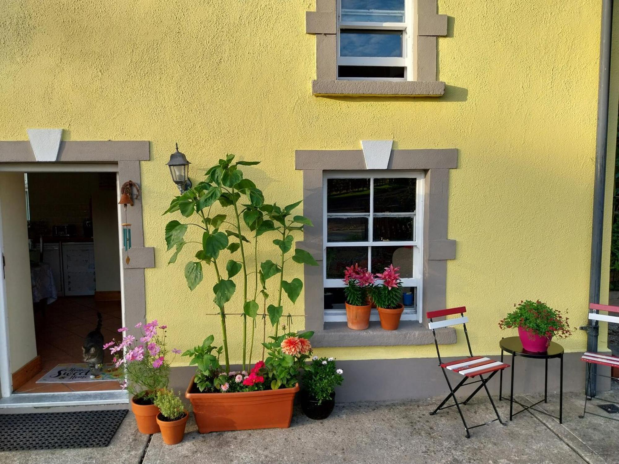 Felicity Cottage Kiltegan Extérieur photo